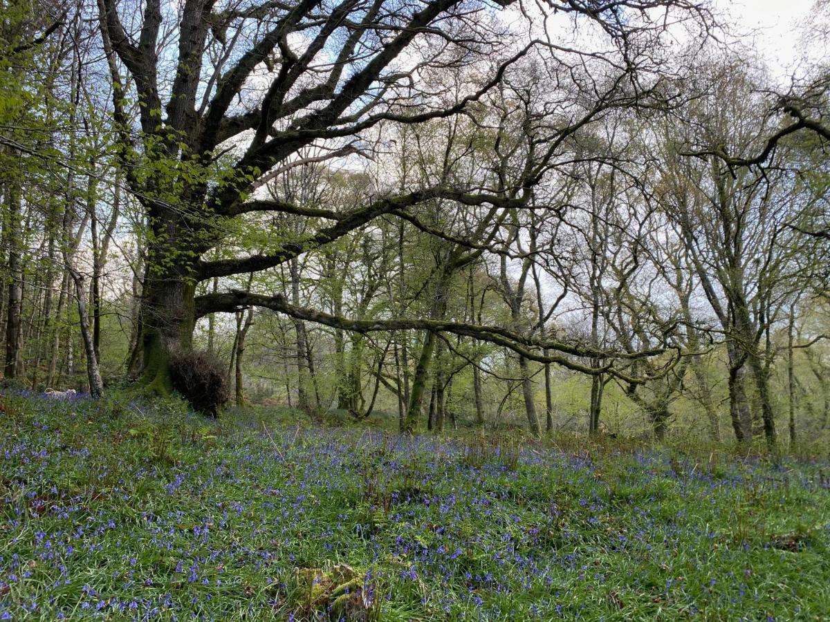 Hartridge Springs Hotel Honiton Luaran gambar